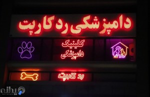 کلینیک دامپزشکی رد کارپت 