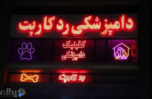 کلینیک دامپزشکی رد کارپت