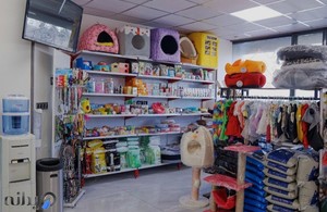 کلینیک دامپزشکی رد کارپت 