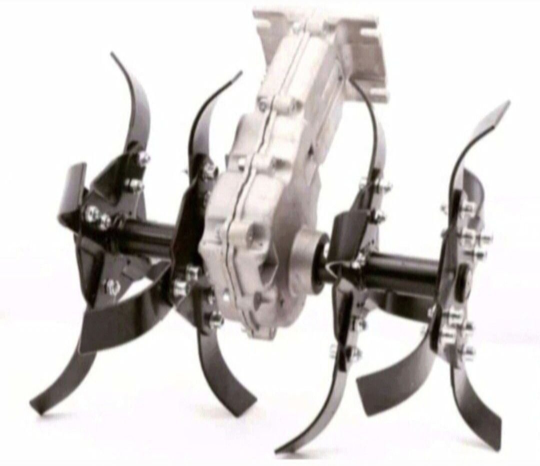 Image 231