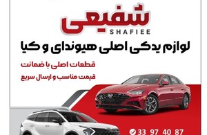 لوازم یدکی هیوندا و کیا شفیعی