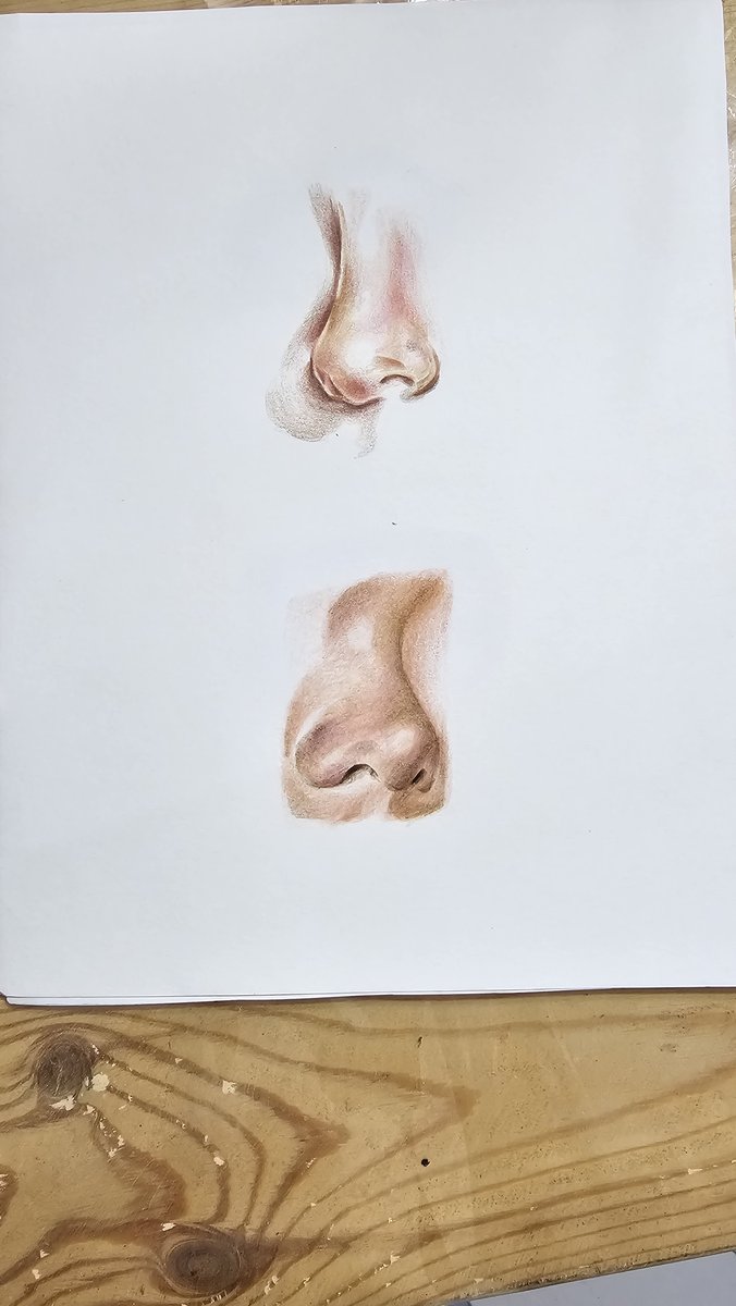 Image 13