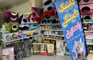 کلینیک دامپزشکی پاستیل