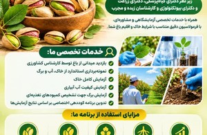 حامی کشت خراسان